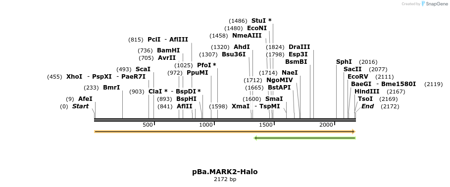 439552_map