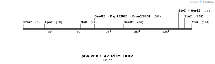 439553_map
