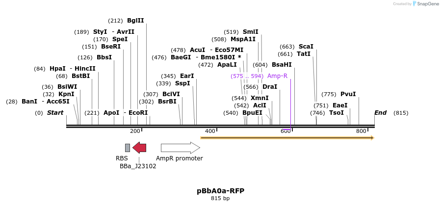 43960_map
