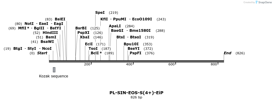 43964_map