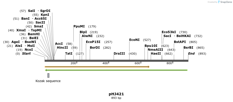 43965_map