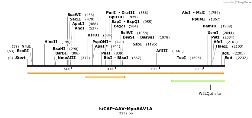 439819_map