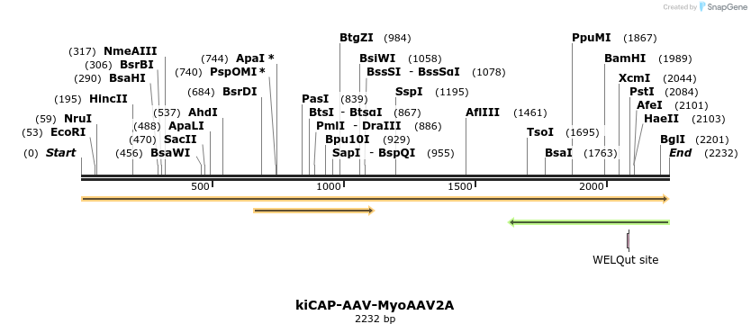 439825_map