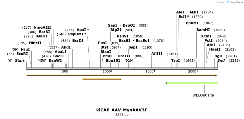 439839_map