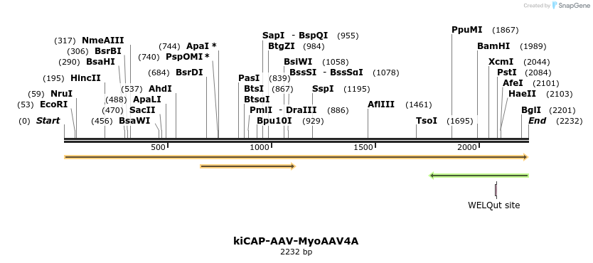 439841_map