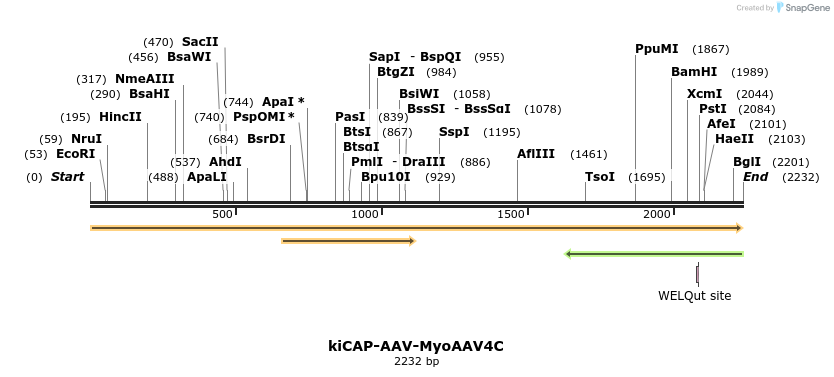 439845_map
