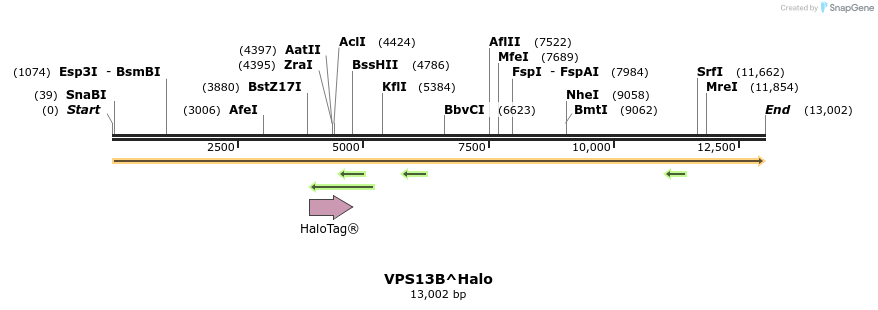 440057_map