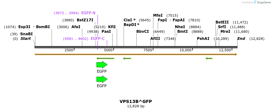 440066_map