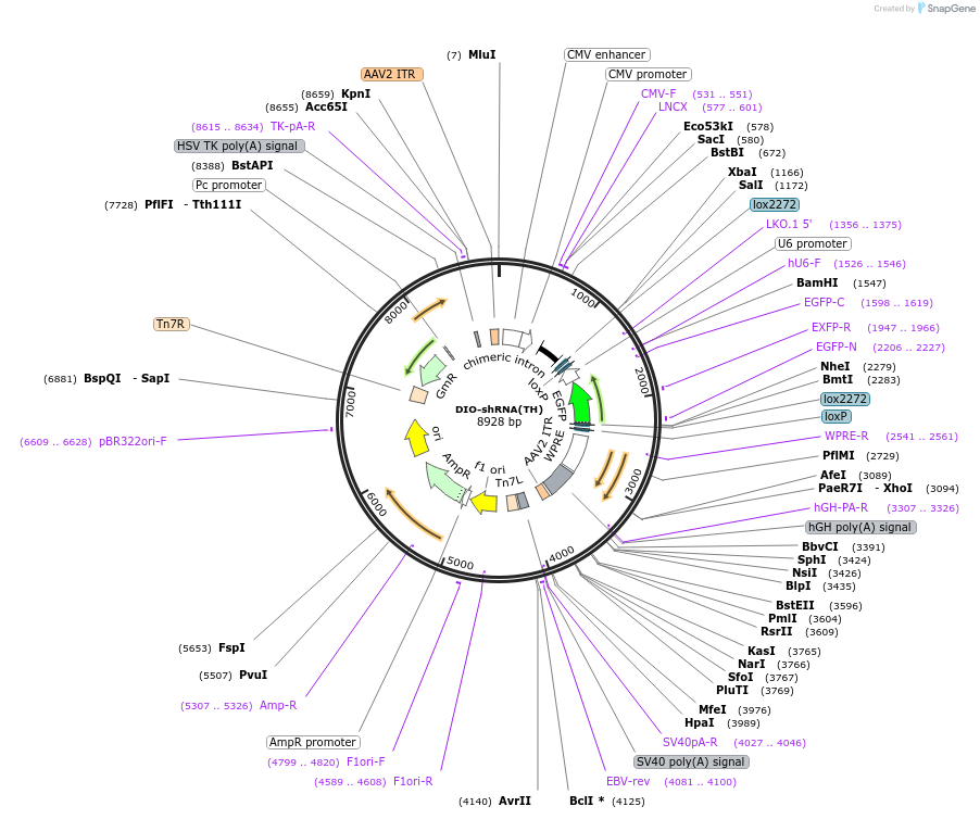 440070_map