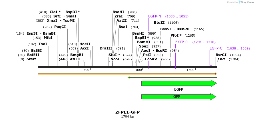 440072_map