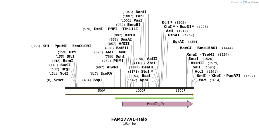 440075_map