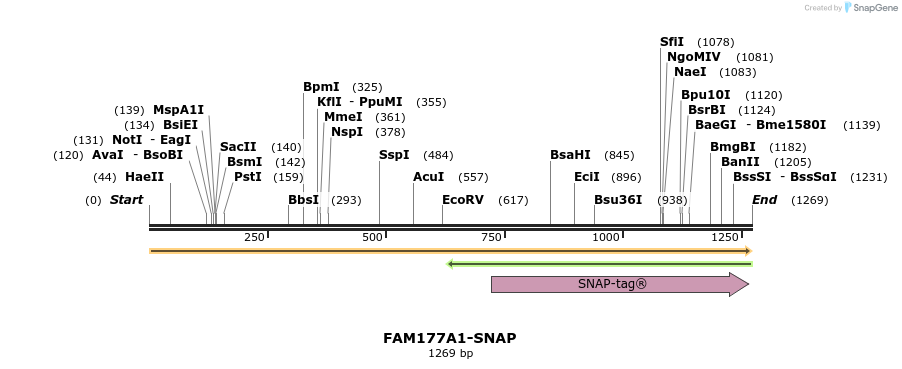 440077_map