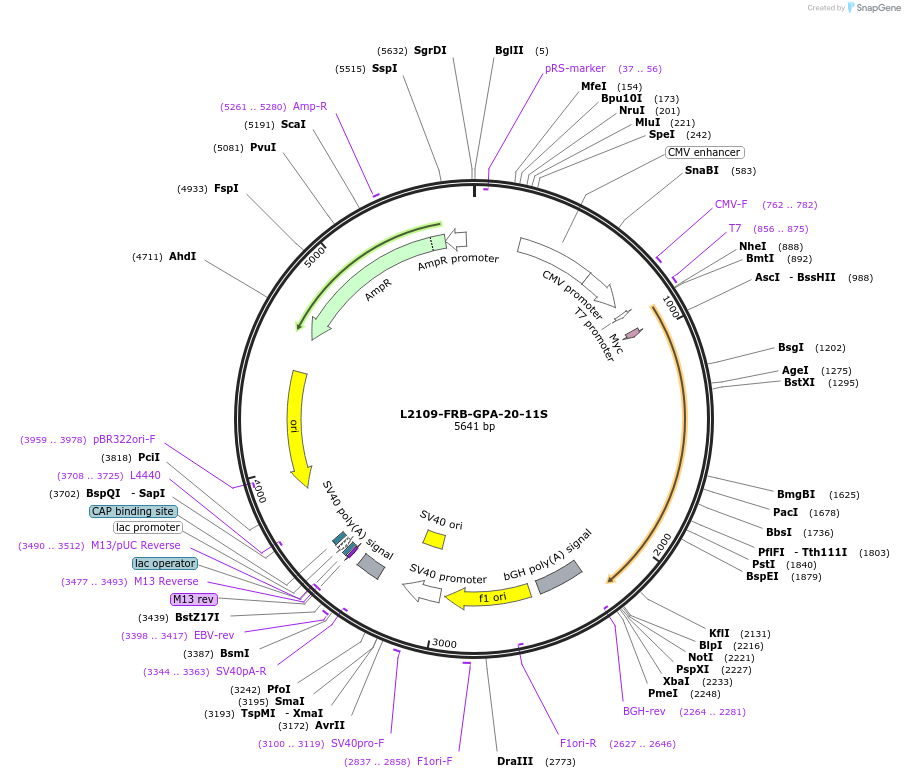 440181_map