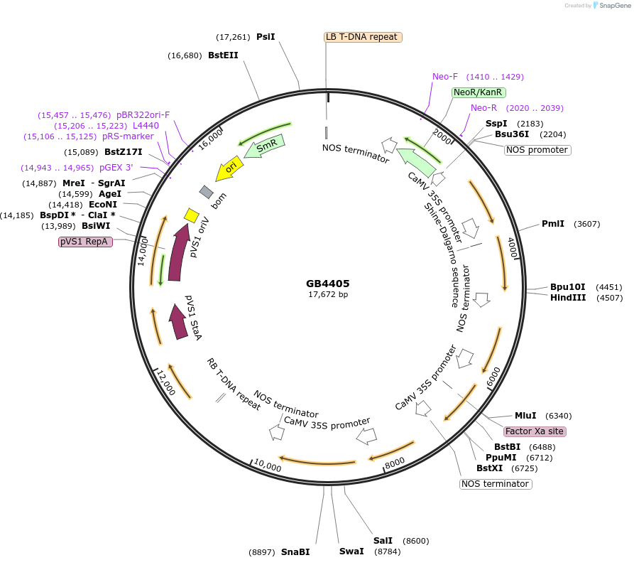 440537_map