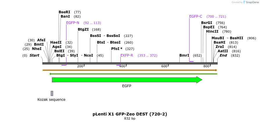 44057_map