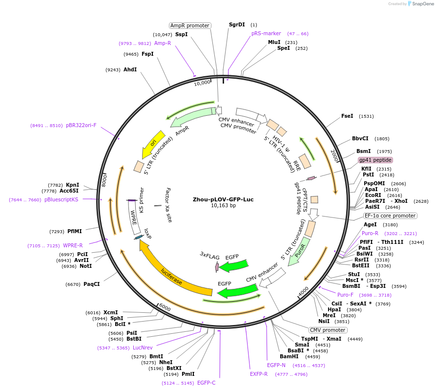 440614_map