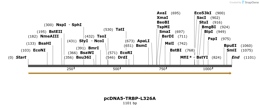 440626_map