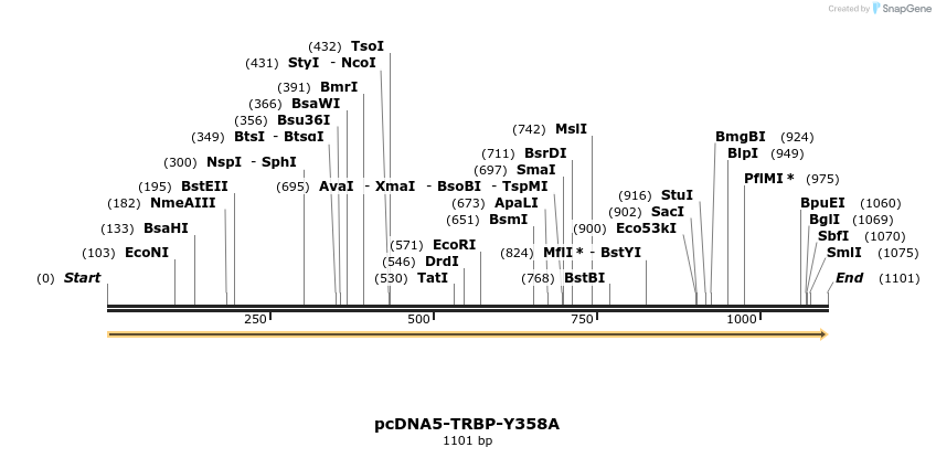 440627_map