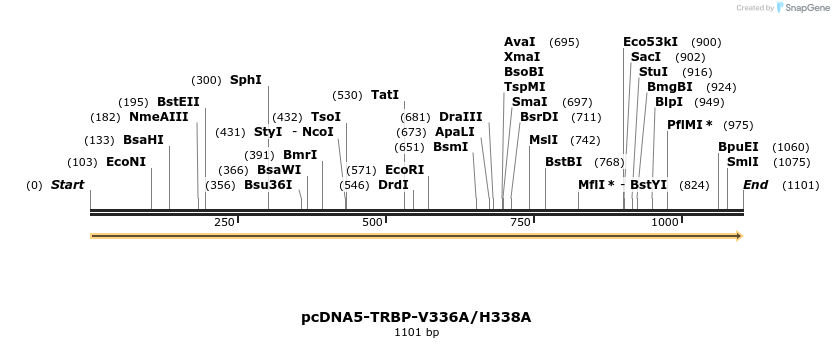 440628_map