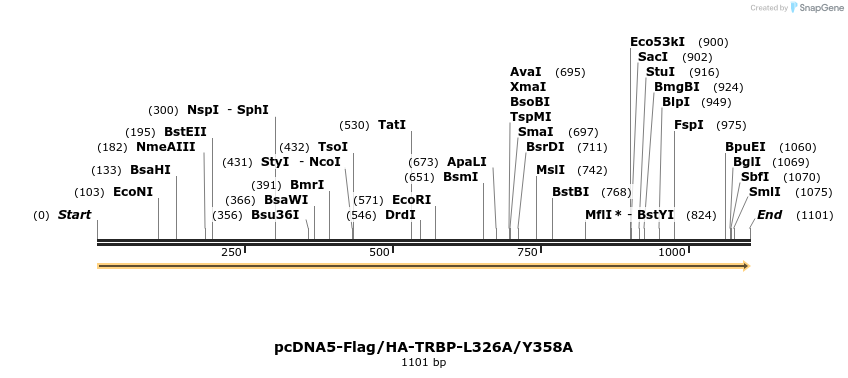 440629_map