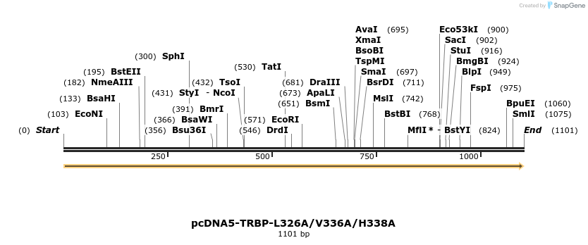 440631_map
