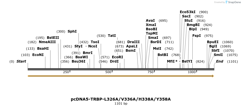 440632_map