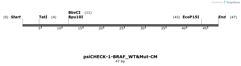 440635_map