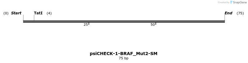 440637_map