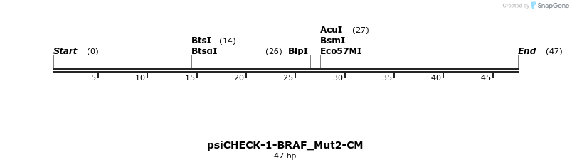 440638_map