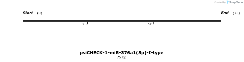 440666_map