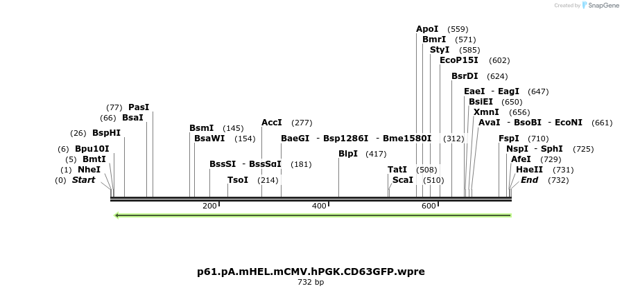 441263_map
