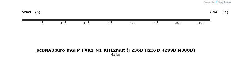 441698_map