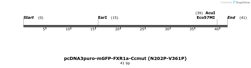 441701_map