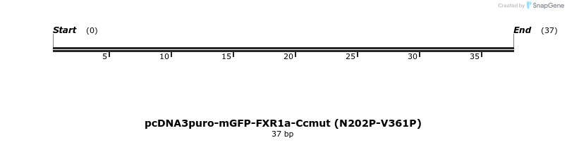 441702_map