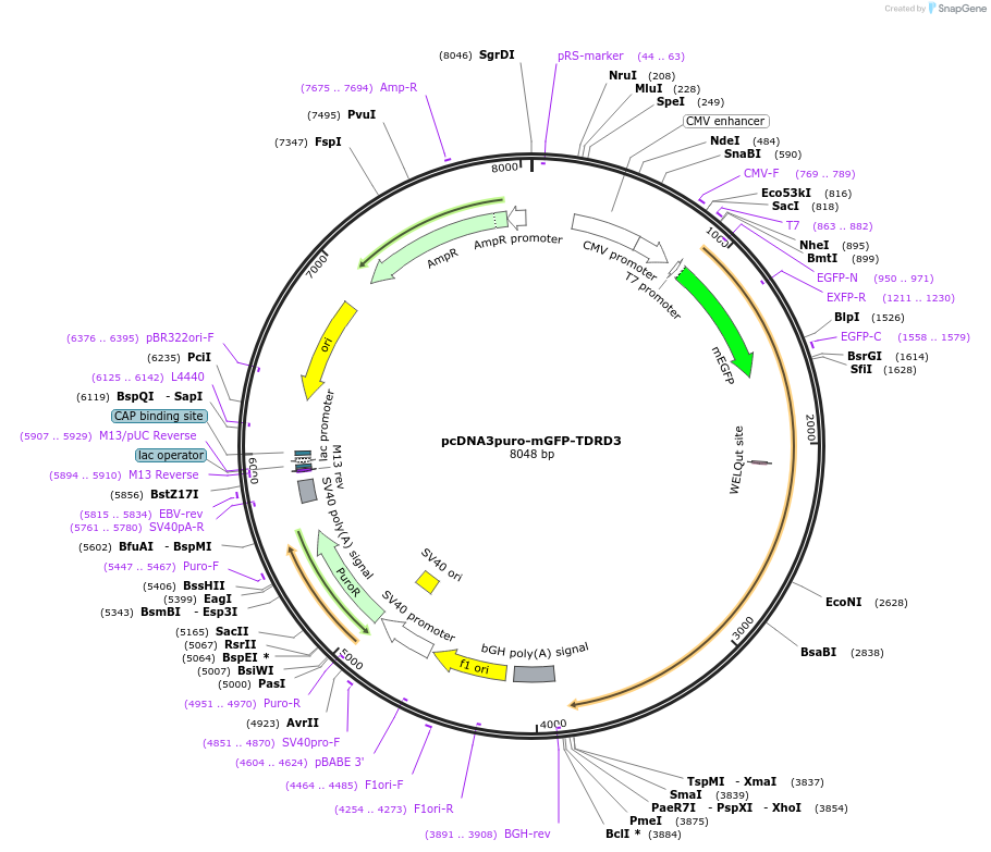 441714_map