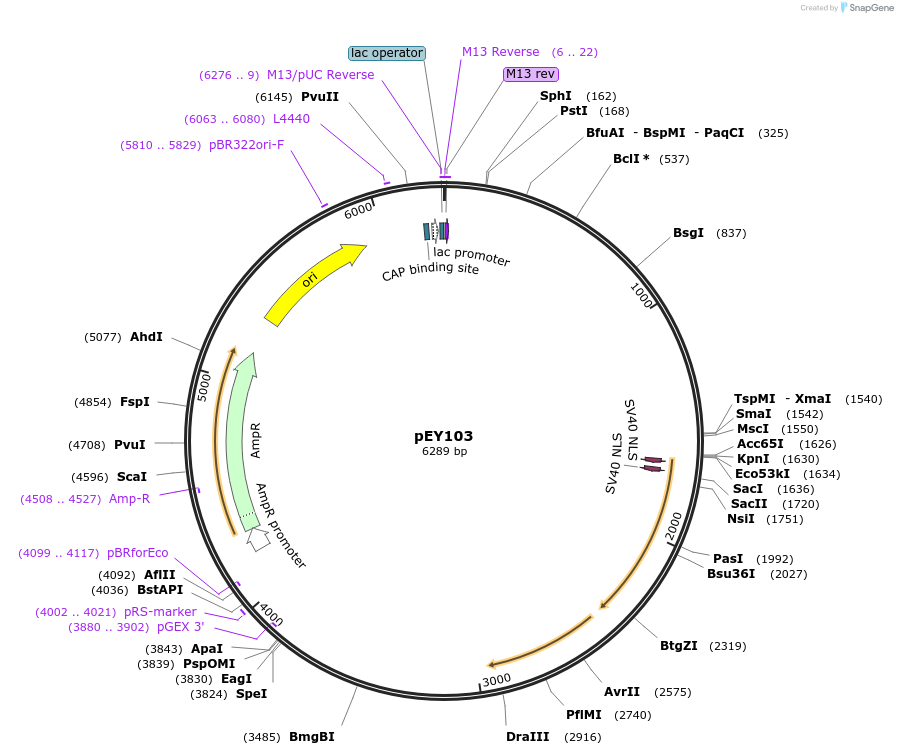 441789_map