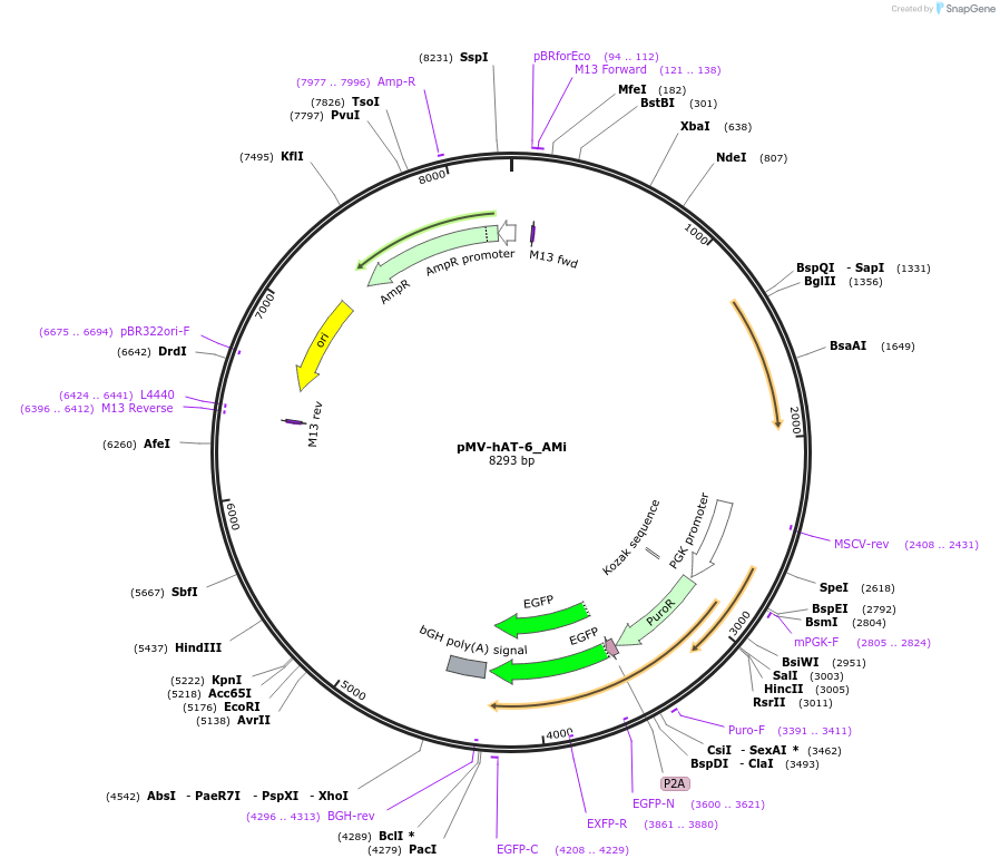 441870_map