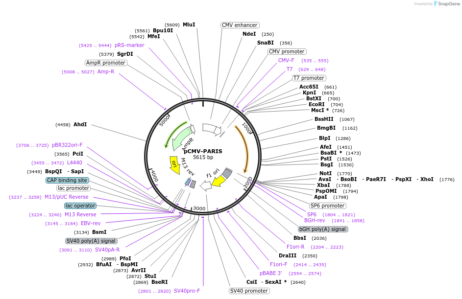 442012_map
