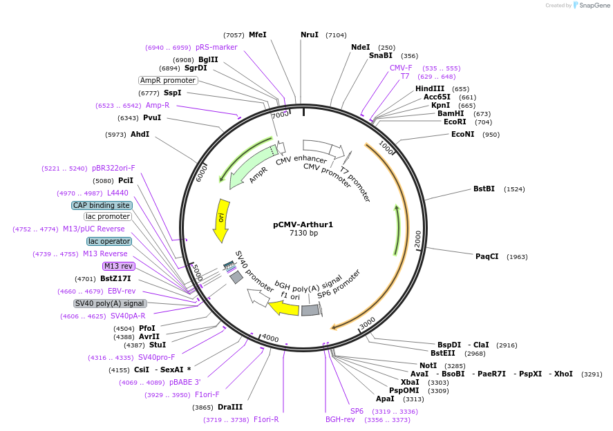 442021_map