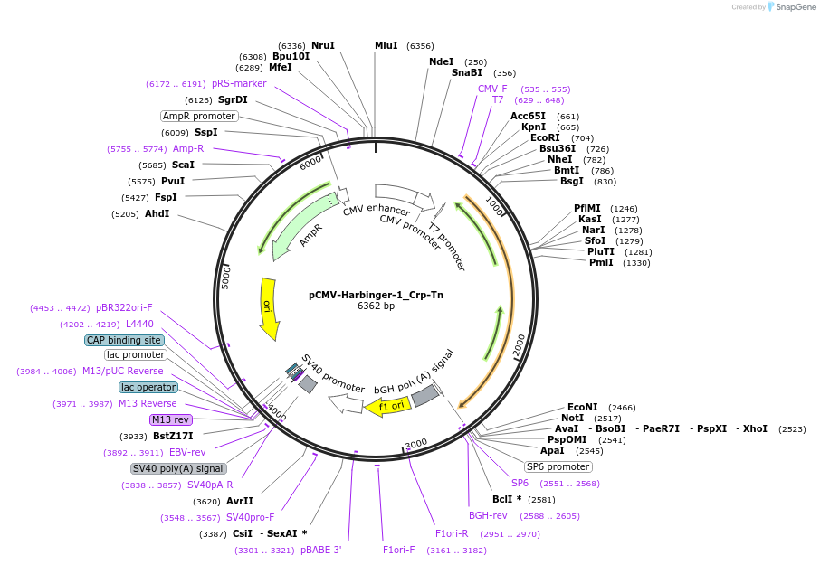 442022_map