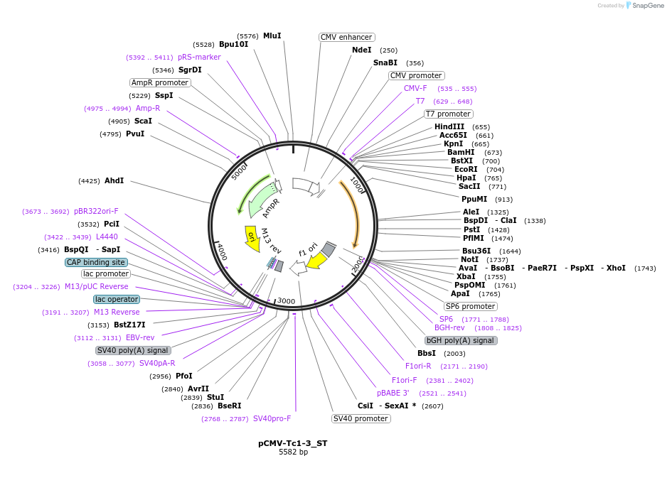 442024_map