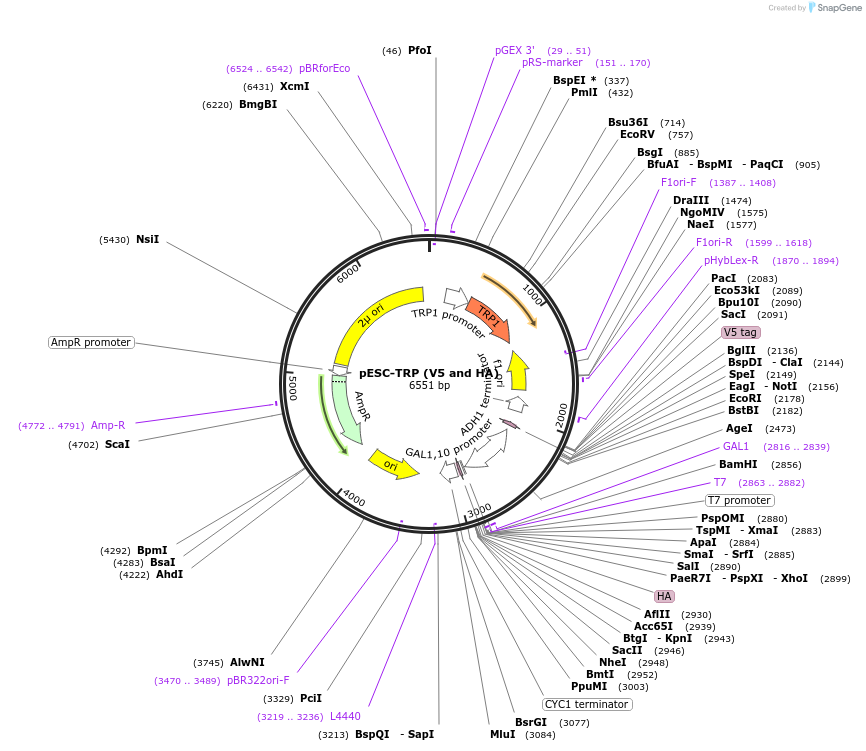 442027_map