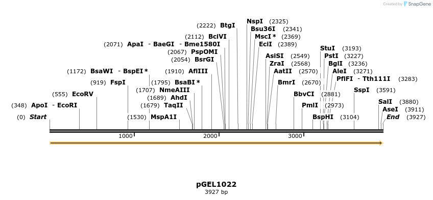 442123_map