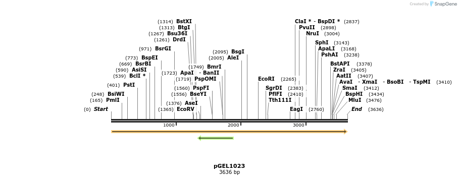 442124_map