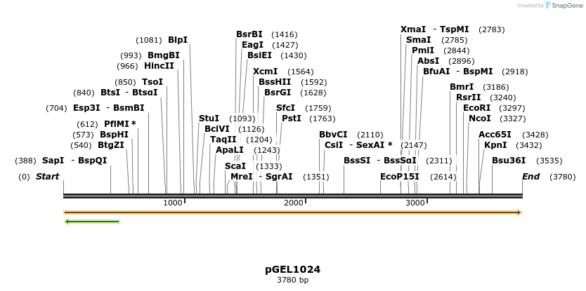 442125_map