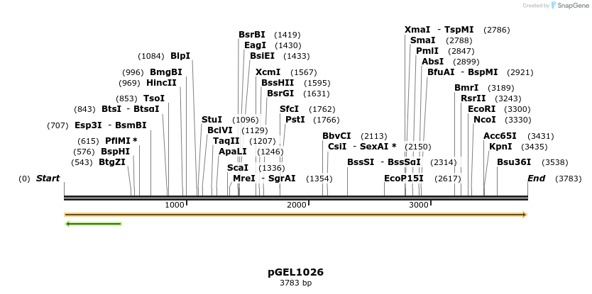 442127_map