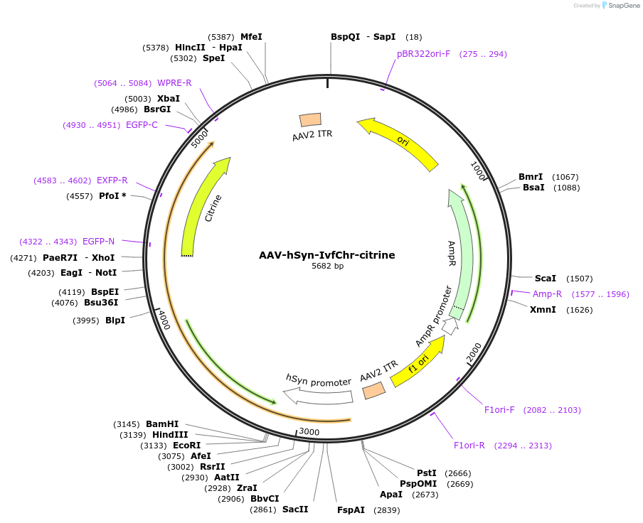 442132_map