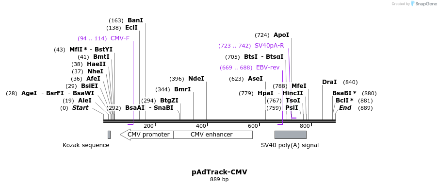 44215_map