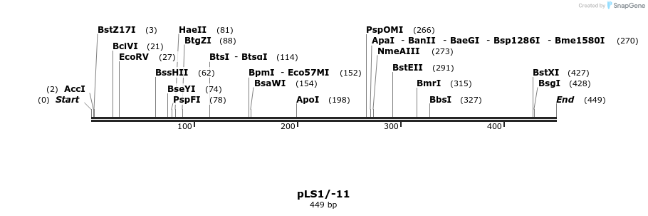 44216_map