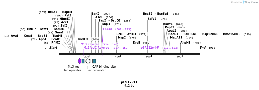 44217_map